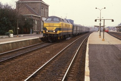 Geraadsbergen - TH 84-1454.jpg